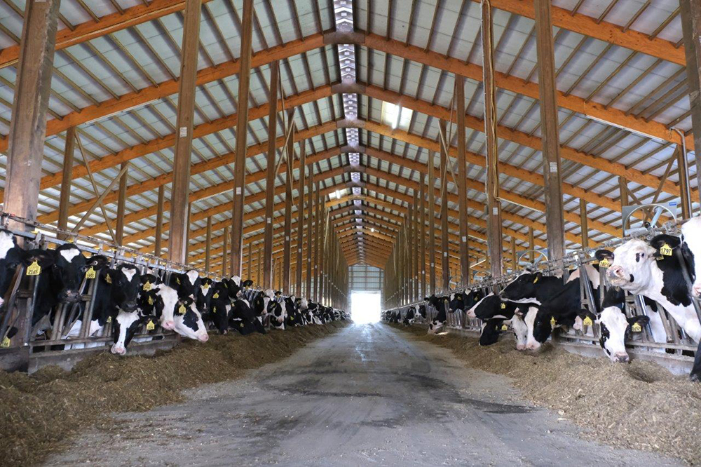 Post-Frame Buildings for Agriculture and Dairy Farmers